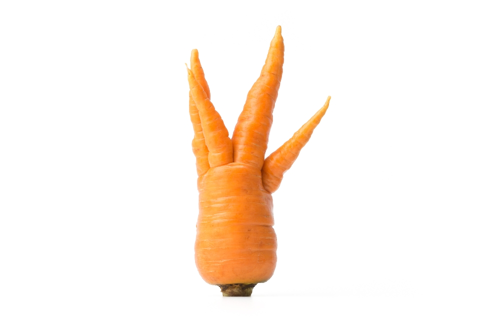 Danvers Carrot