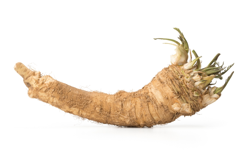 Horseradish