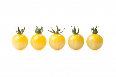 Coyote Cherry Tomatoes