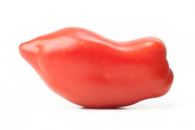 Federle Tomatoes