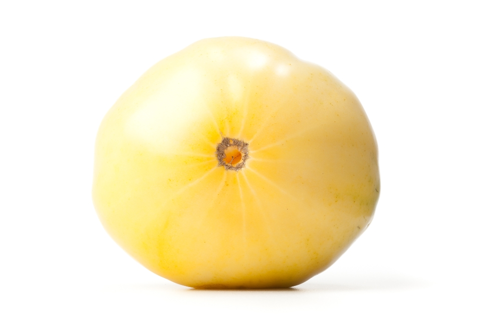 Great White Tomato
