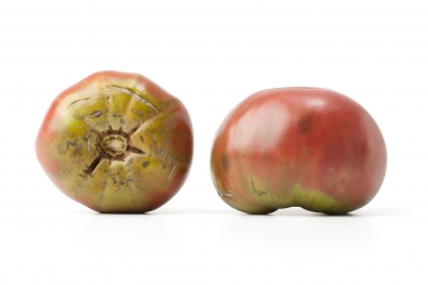Black from Tula Tomatoes