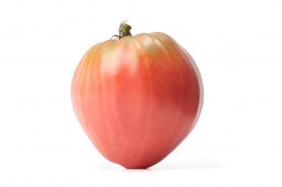 Hungarian Oxheart Tomato