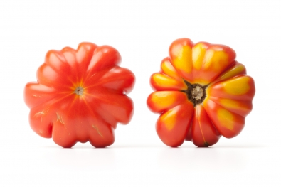 Genovese Costoluto Tomatoes