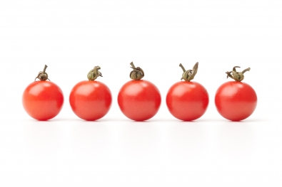 Wild Mexican Tomatoes