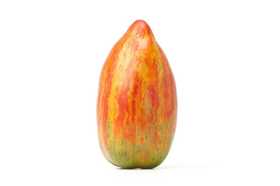 Speckled Roman Tomato