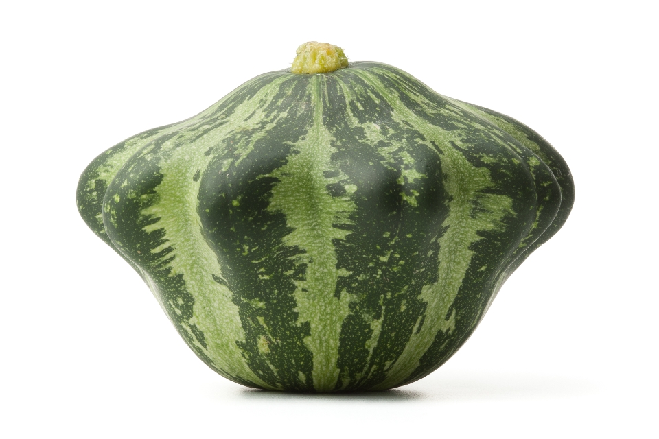 G-Star Summer Squash