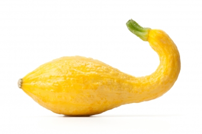 Zucchini & Summer Squash