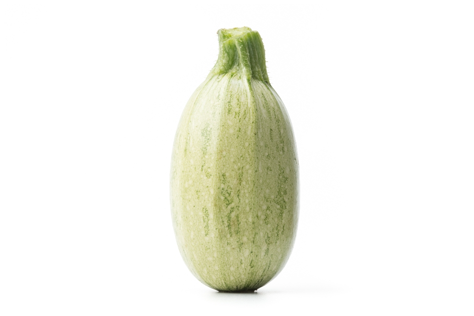 Asian Cousa Squash