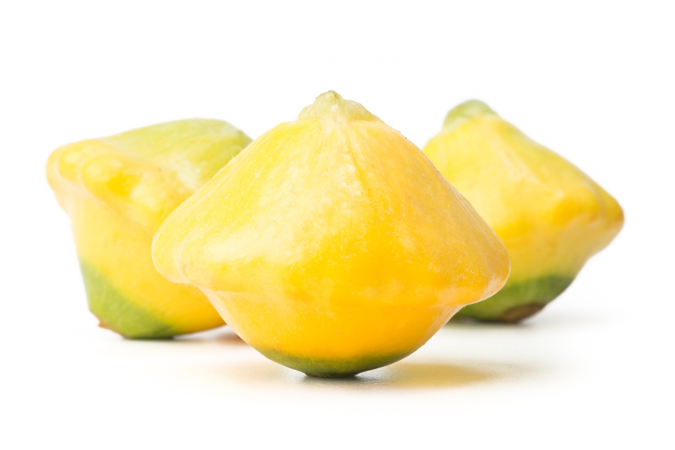 Baby Y-Star Summer Squash