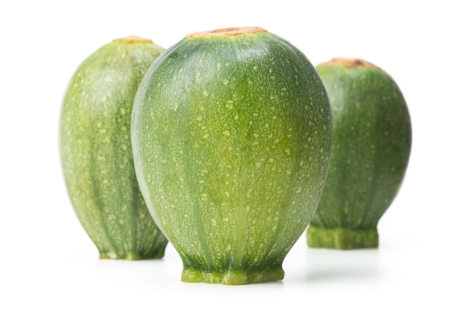 Baby 8-Ball Summer Squash