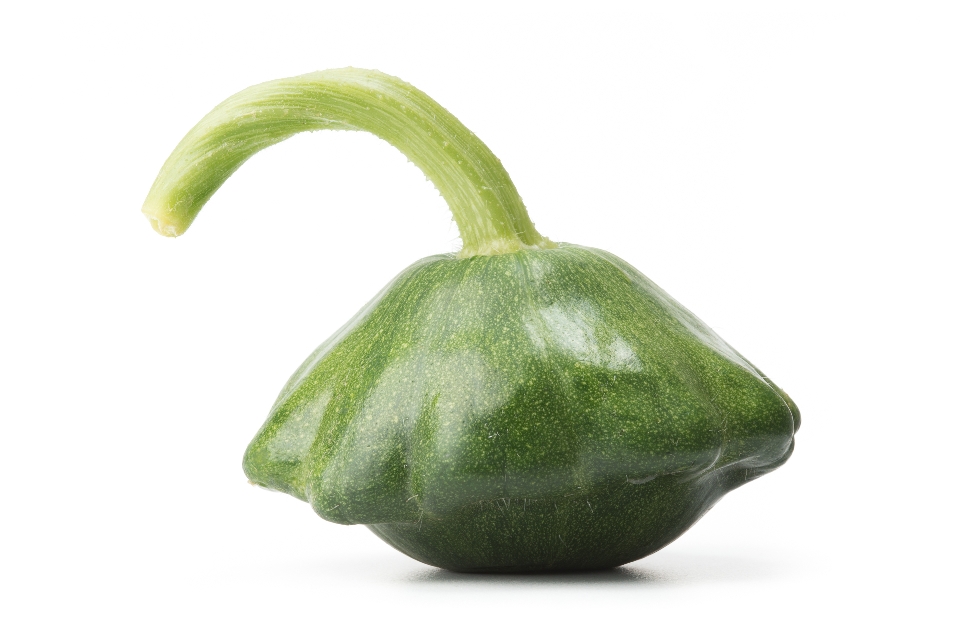 Baby Solid Green Scallop Summer Squash